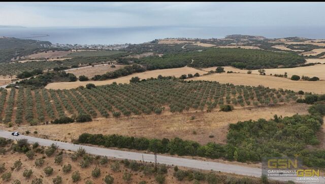 7-ÇANAKKALE BİGA KEMERDE EŞSİZ DENİZ MANZARALI ASFALT CEPHELİ ARAZİ